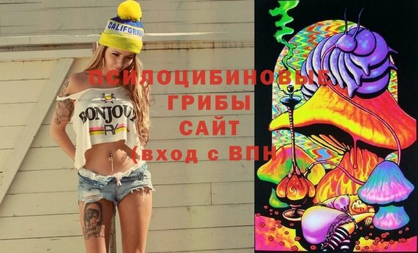 шишки Наволоки
