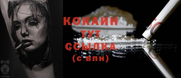 шишки Наволоки