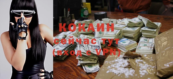 шишки Наволоки