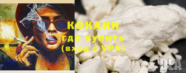 шишки Наволоки