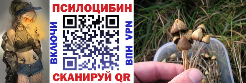 Галлюциногенные грибы мицелий  как найти закладки  Тайшет 