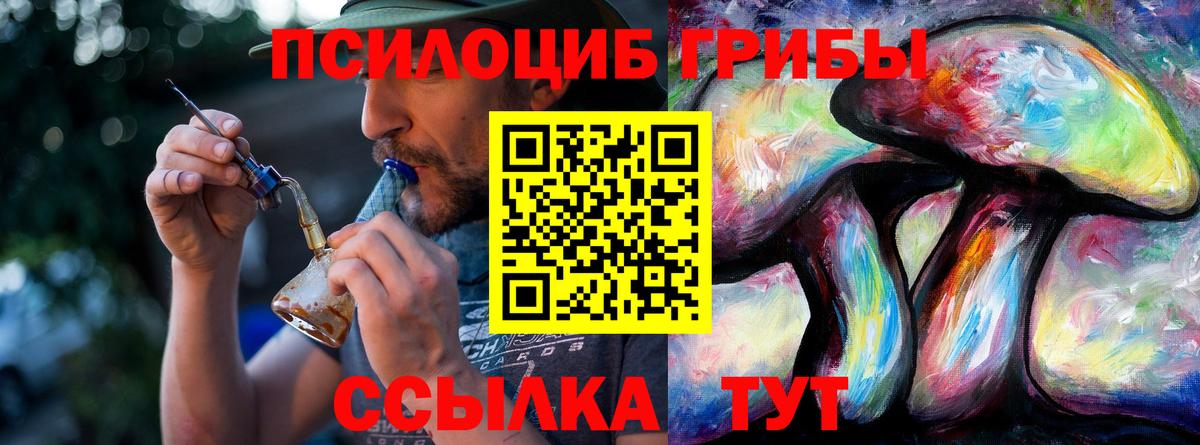 Галлюциногенные грибы Cubensis  Тайшет  Галлюциногенные грибы GOLDEN TEACHER 